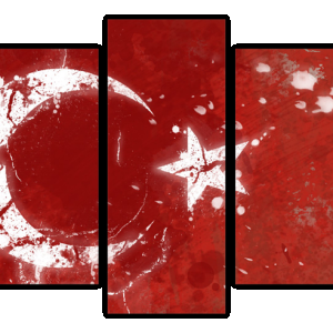 TimurGsm.Com Türkiye