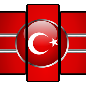 TimurGsmViP.Com Türkiye