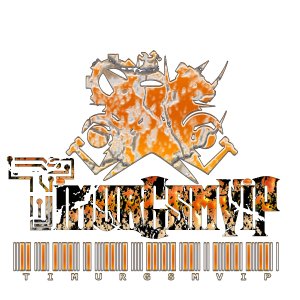 TimurGsmVip.Com Firmware Software Stroy