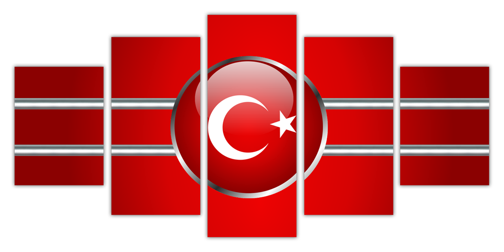 TimurGsmViP.Com Türkiye
